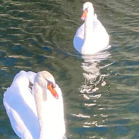 Floating House Embe Experience 船屋 卡斯特沃托诺